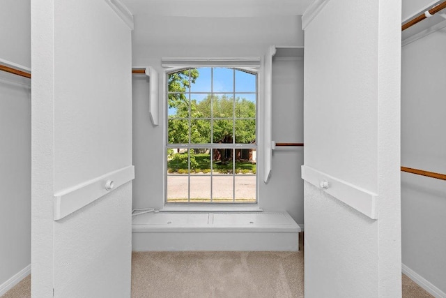 1809 Johnson Way, Round Rock, TX 78681 - spacious closet with carpet flooring