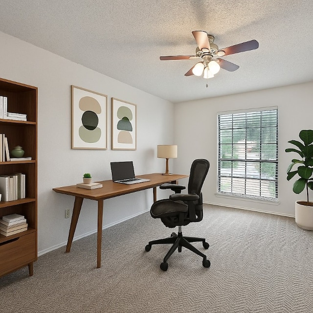 8803 Peppergrass Cv, Austin, TX 78745 - photo 14