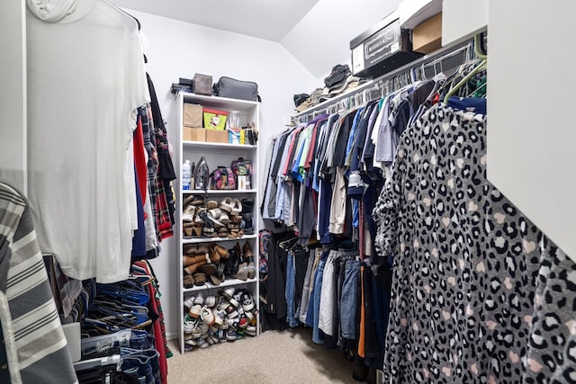 376 Sweet Gum Dr, Kyle, TX 78640 - walk in closet featuring carpet and vaulted ceiling
