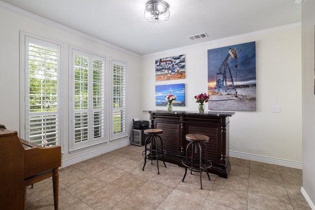 376 Sweet Gum Dr, Kyle, TX 78640 - indoor dry bar featuring crown molding, baseboards, and light tile patterned floors