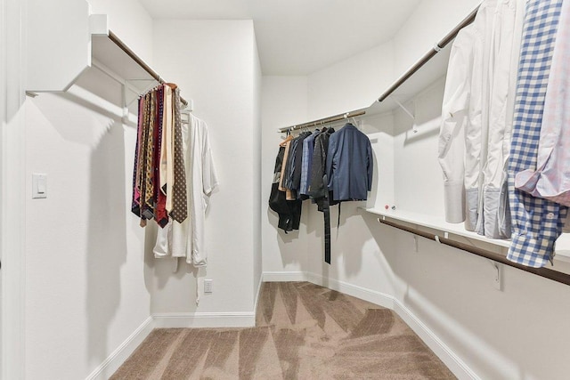 spacious closet featuring carpet flooring