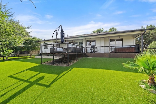 back of house featuring a yard
