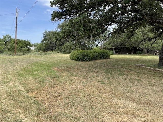 401 County Road 128, Burnet, TX 78611 - view of yard