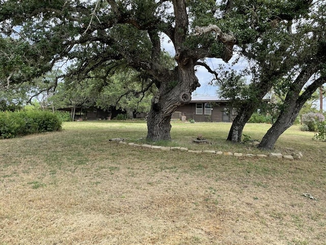 401 County Road 128, Burnet, TX 78611 - view of yard