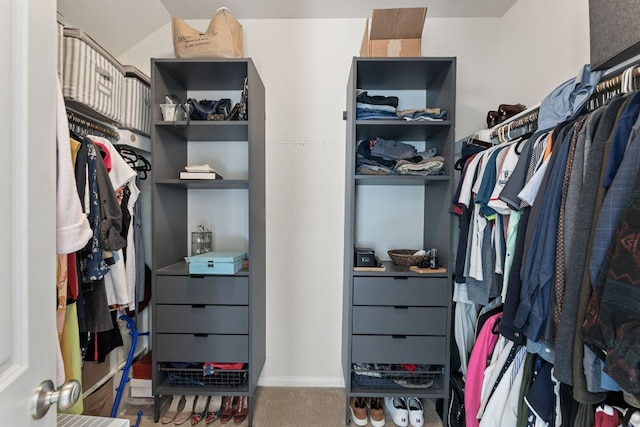 spacious closet featuring carpet flooring