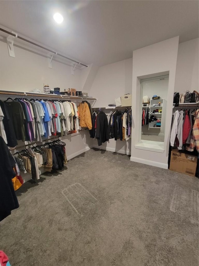 spacious closet featuring carpet flooring