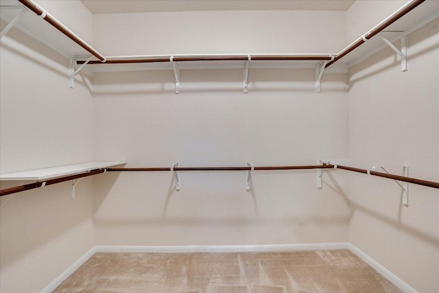 182 Lone Tree Holw, Buda, TX 78610 - spacious closet with light carpet