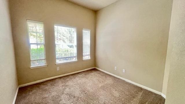 spare room with carpet flooring and a wealth of natural light