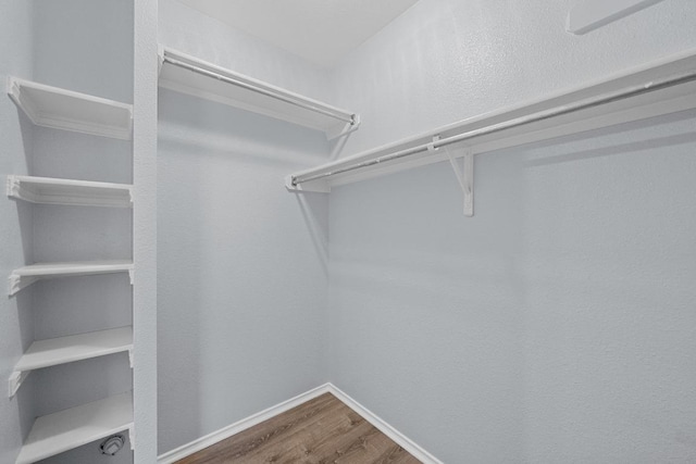 walk in closet featuring wood finished floors