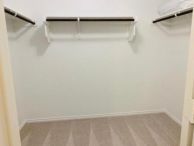 241 Cascata Way, Liberty Hill, TX 78642 - spacious closet with carpet