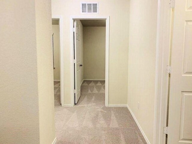 241 Cascata Way, Liberty Hill, TX 78642 - photo 21