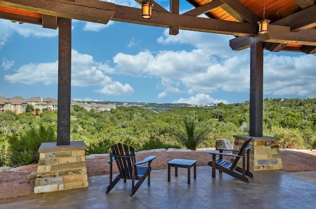19020 Fernando Trl, Austin, TX 78738 - view of patio featuring a forest view