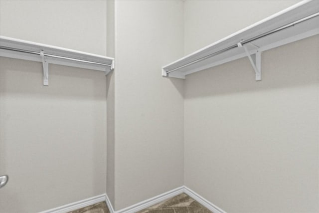 walk in closet featuring carpet flooring
