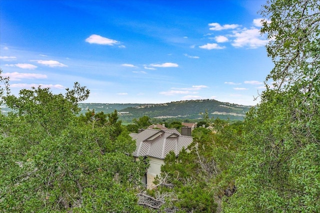 6000 Shepherd Mountain Cv Unit 2007, Austin, TX 78730 - mountain view