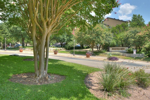 6000 Shepherd Mountain Cv Unit 2007, Austin, TX 78730 - view of property's community with a yard