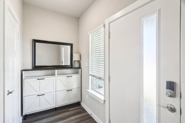 1208 Tipton St, Georgetown, TX 78633 - doorway to outside with dark wood finished floors and baseboards