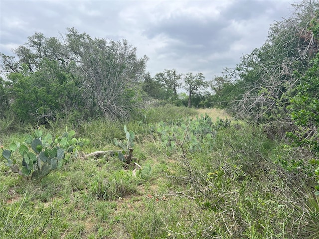 0 E Greencastle Dr, Granite Shoals, TX 78654
