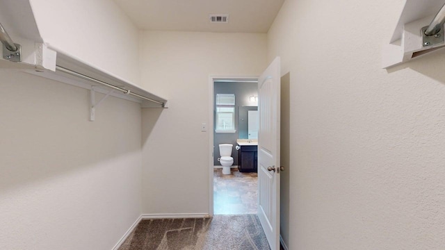 387 Gustaf Trl, Kyle, TX 78640 - spacious closet with carpet floors