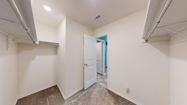387 Gustaf Trl, Kyle, TX 78640 - spacious closet with carpet