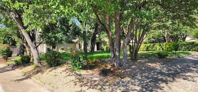 11208 Taterwood Dr, Austin, TX 78750 - photo 36