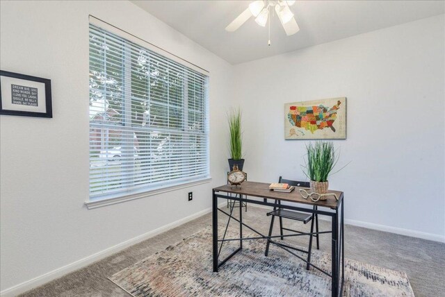 1500 Mexican Heather Ct, Pflugerville, TX 78660 - carpeted office space with plenty of natural light, ceiling fan, and baseboards