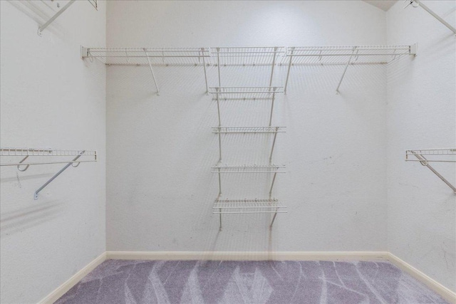 1500 Mexican Heather Ct, Pflugerville, TX 78660 - spacious closet with carpet