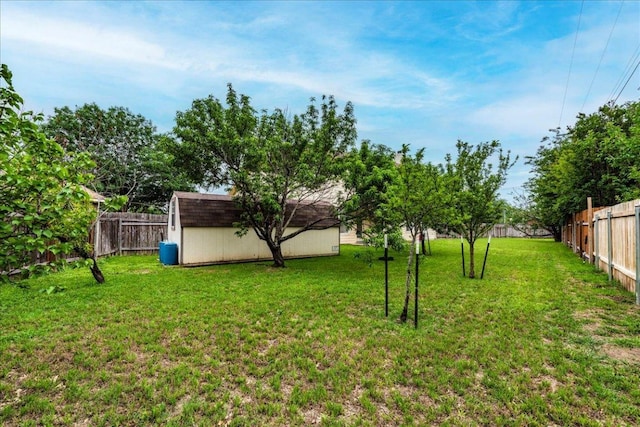 1500 Mexican Heather Ct, Pflugerville, TX 78660 - view of yard