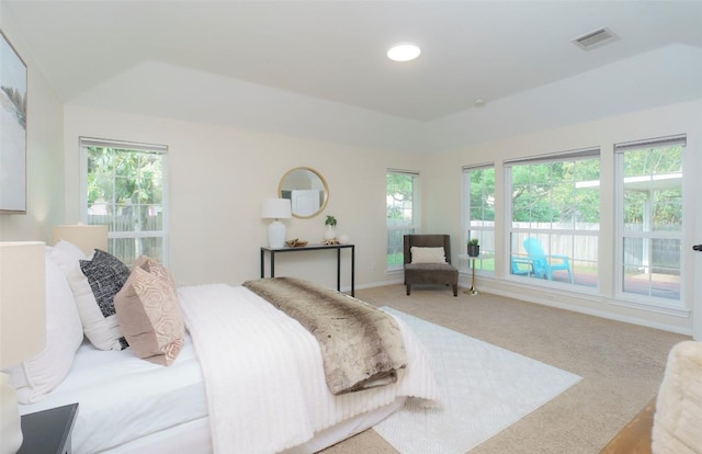 carpeted bedroom with baseboards, multiple windows, a tray ceiling, and visible vents
