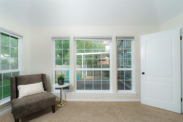 living area with baseboards and carpet