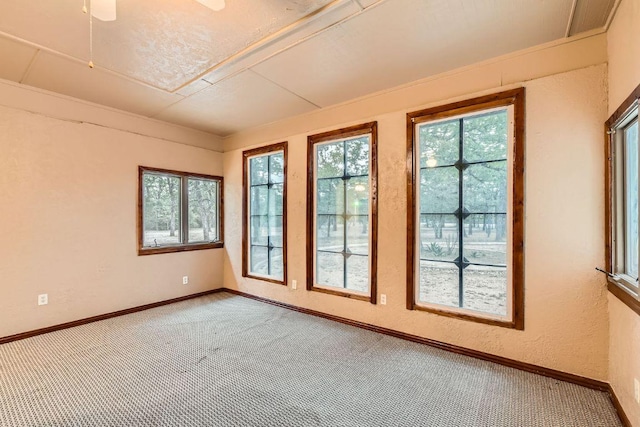 carpeted empty room featuring baseboards, attic access, and a wealth of natural light