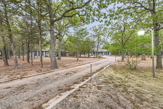 view of road featuring dirt driveway