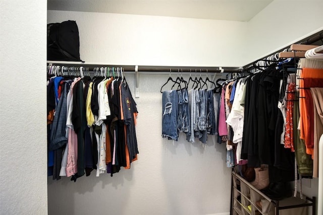 view of walk in closet