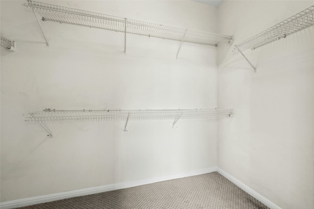 508 Texas Dr, Georgetown, TX 78633 - spacious closet featuring light colored carpet