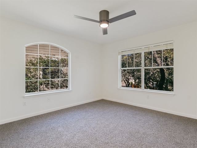 4400 Switch Willo Dr Unit 21, Austin, TX 78727 - photo 10