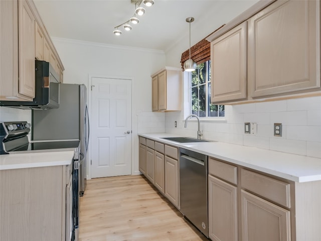 kitchen with crown molding, tasteful backsplash, a sink, light wood-style flooring, and stainless steel appliances