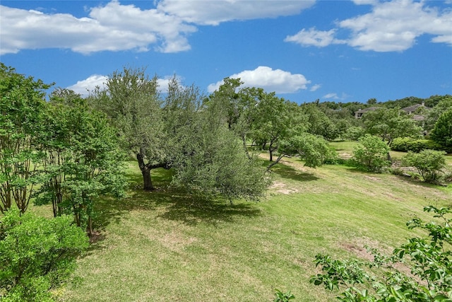2305 Barton Creek Blvd Unit 28, Austin, TX 78735 - photo 25