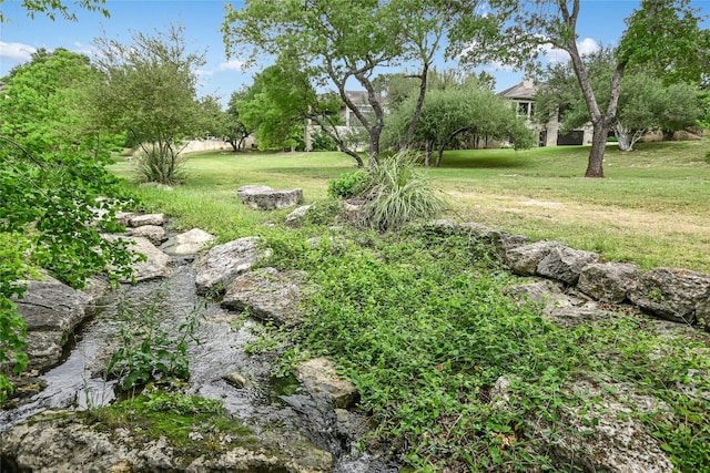 2305 Barton Creek Blvd Unit 28, Austin, TX 78735 - view of yard