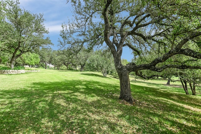 2305 Barton Creek Blvd Unit 28, Austin, TX 78735 - view of yard
