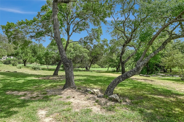 2305 Barton Creek Blvd Unit 28, Austin, TX 78735 - view of nature