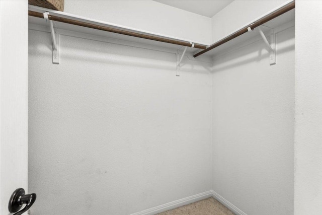 walk in closet featuring carpet floors