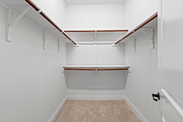 816 Sierra Blanco Loop, Georgetown, TX 78633 - walk in closet featuring carpet floors