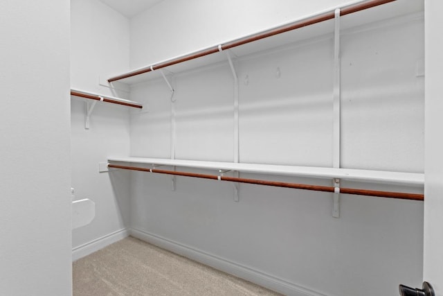 spacious closet featuring light colored carpet