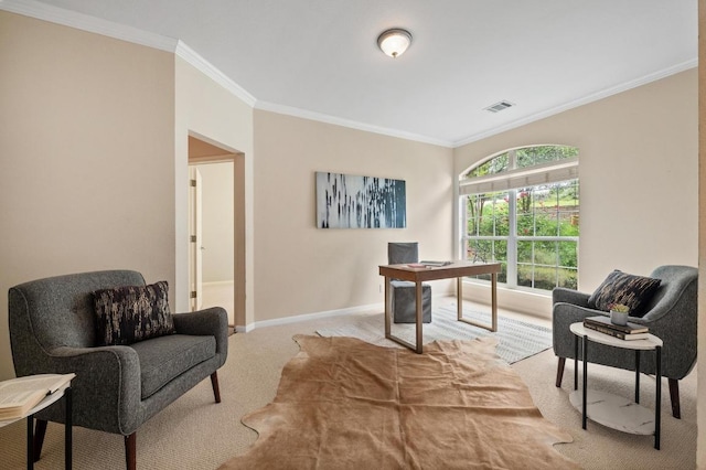 12401 Fairfax Ridge Pl, Austin, TX 78738 - office space with crown molding, carpet flooring, baseboards, and visible vents