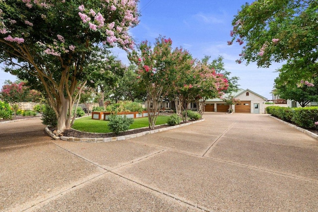 203 Senisa Dr, Buchanan Dam, TX 78657 - photo 4