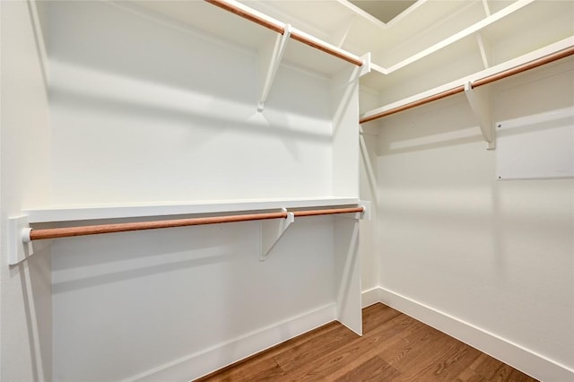 spacious closet featuring wood finished floors