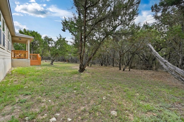 5407 Thunderbird St, Lago Vista, TX 78645 - view of yard