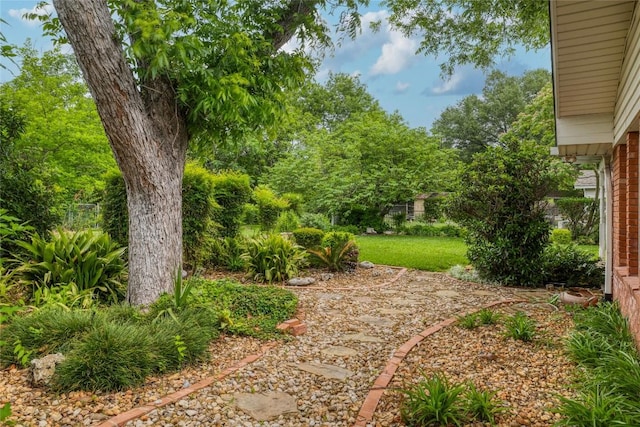 7300 Greenhaven Dr, Austin, TX 78757 - view of yard