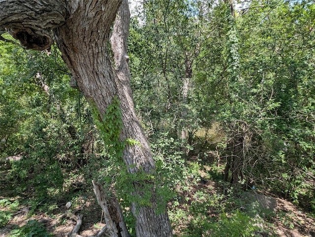 523 E Bundy St, San Antonio, TX 78220