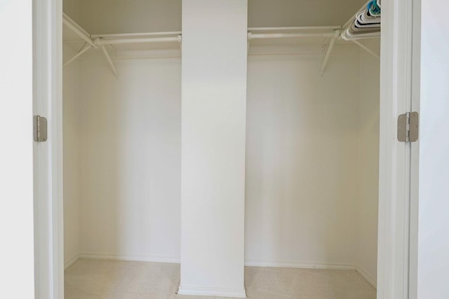 1712 Southwestern Dr, Round Rock, TX 78664 - spacious closet with carpet floors