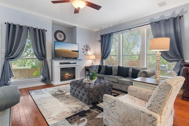 living room featuring a ceiling fan, ornamental molding, and hardwood / wood-style floors